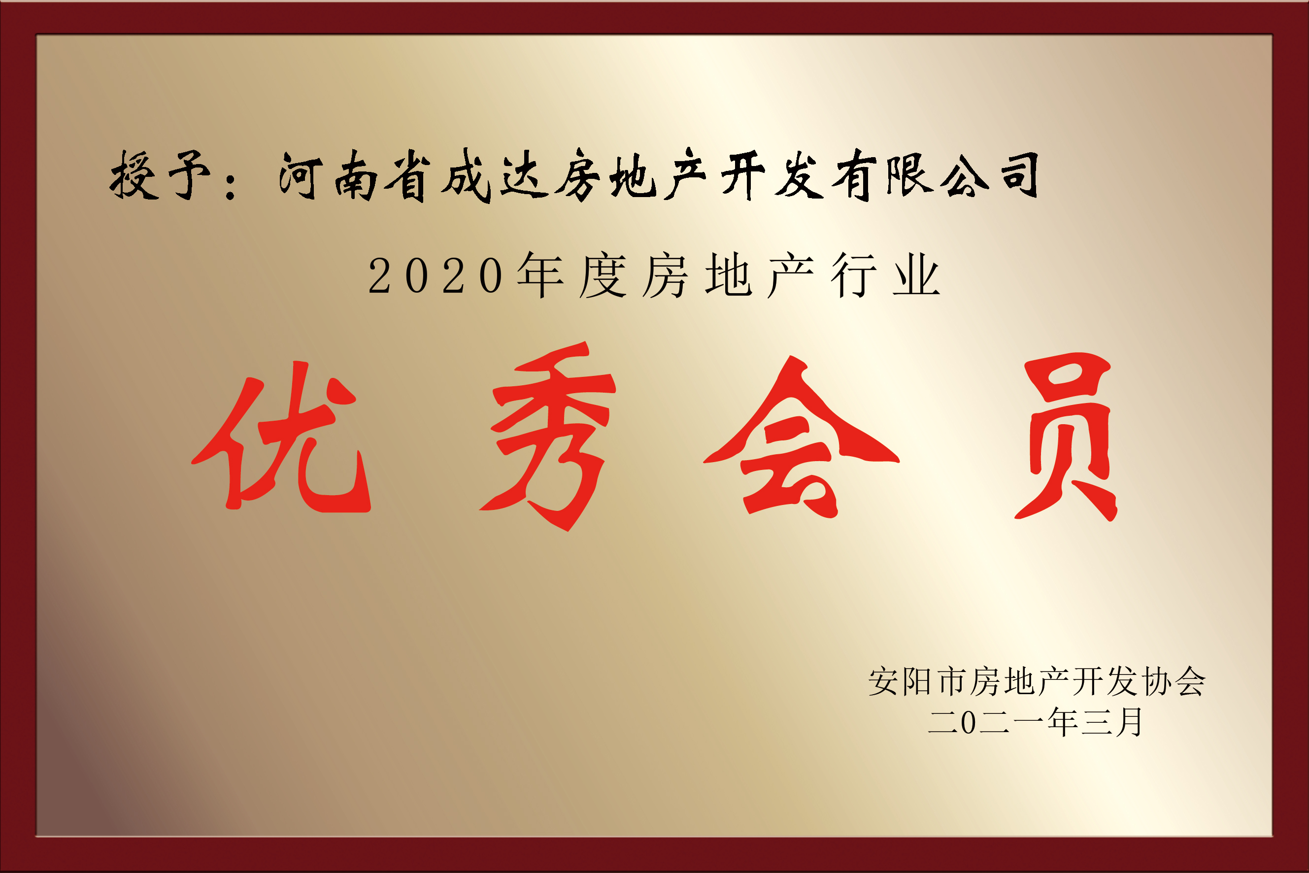 2020年度房地产行业 优秀会员