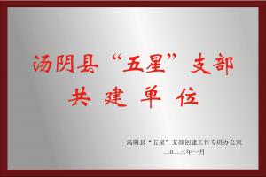 汤阴县“五星”支部共建单位